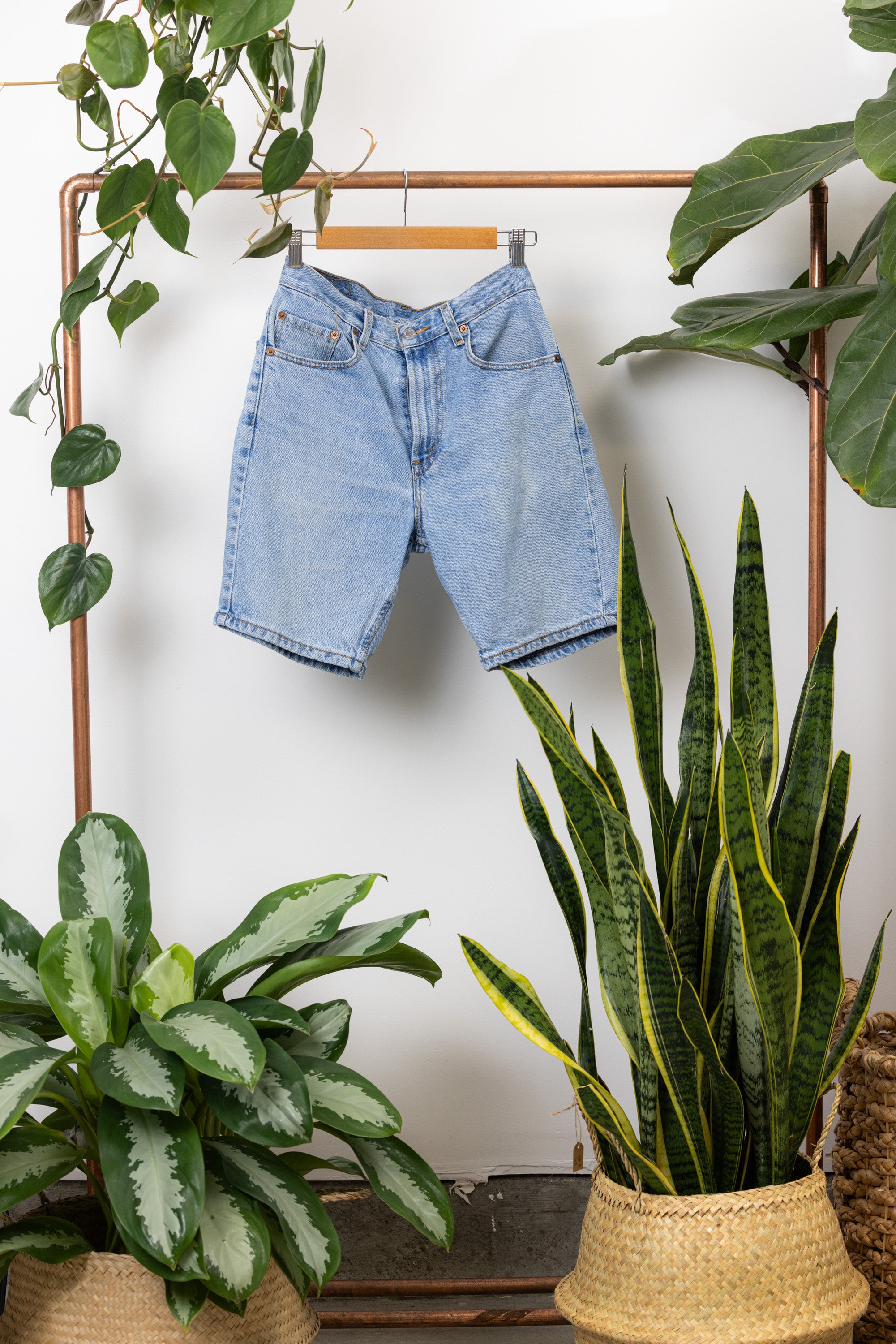 Levi's Denim Shorts