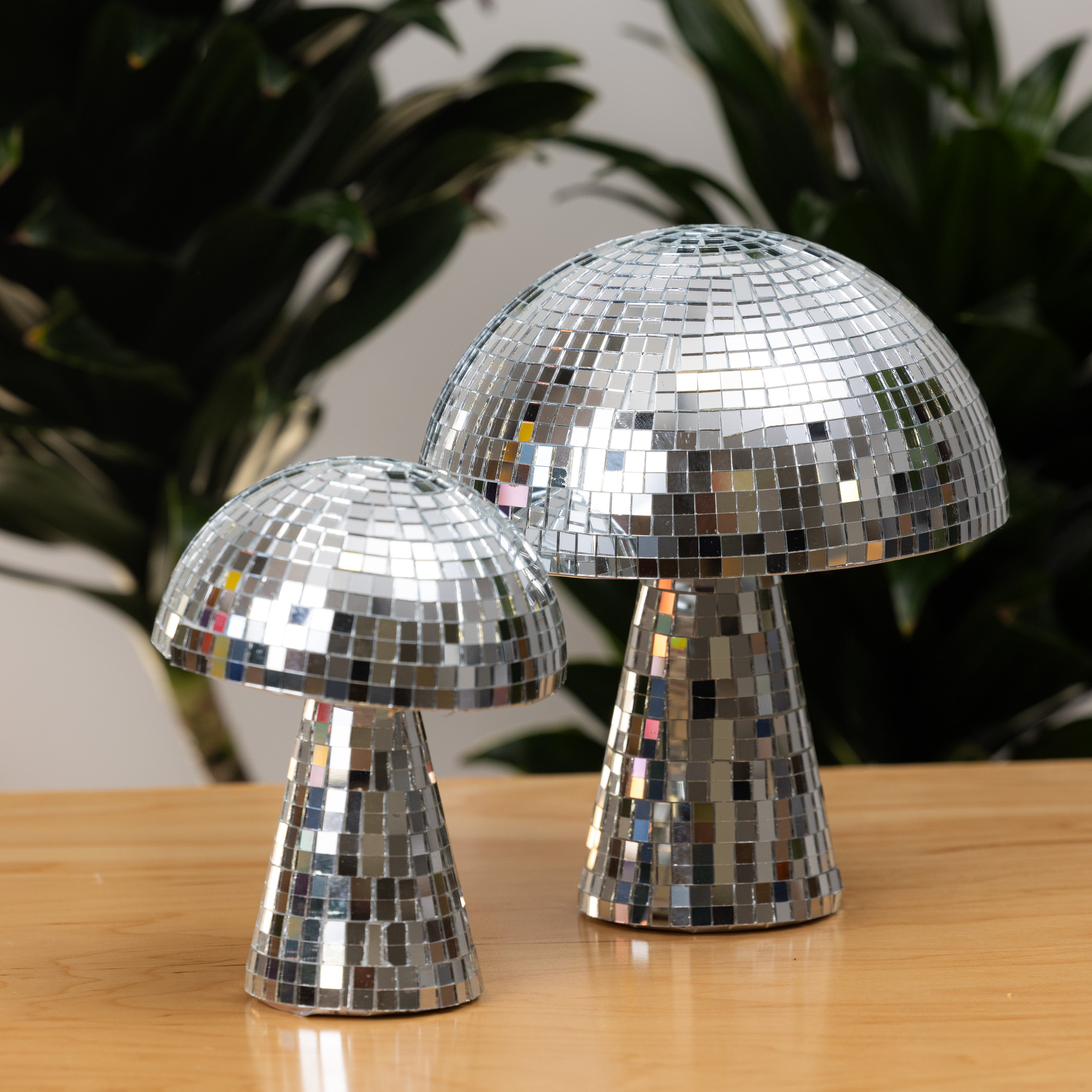 Disco Mushroom