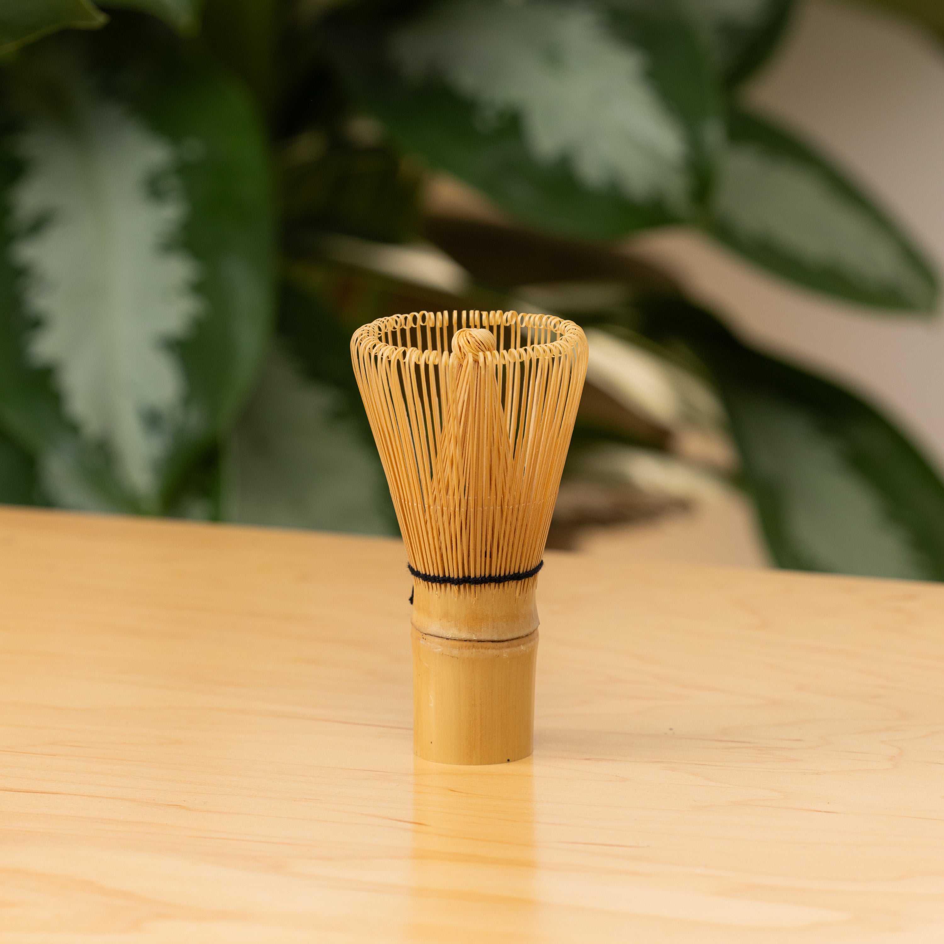 Products | SACHI.LA